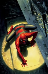 Spectacular Spider-Man by Marvel - Limited Edition on Paper sized 17x26 inches. Available from Whitewall Galleries
