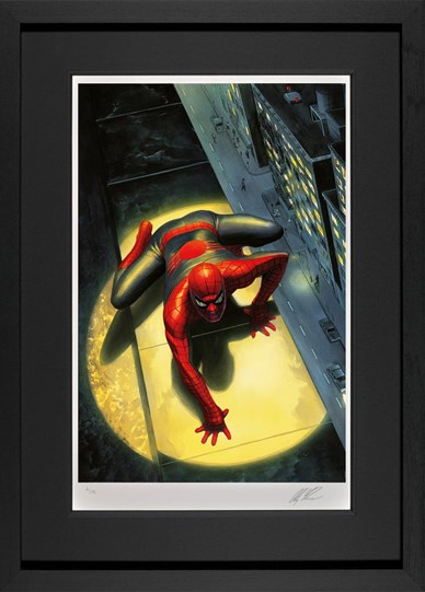 Spectacular Spider-Man by Marvel - Framed Limited Edition on Paper